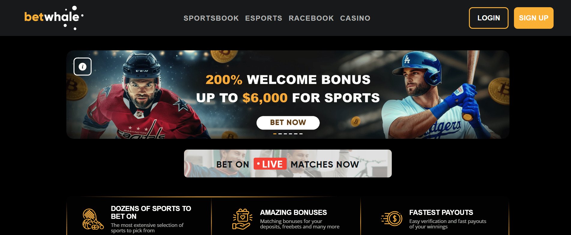 Screenshot of BetWhale casino platform with smooth gameplay and promotions